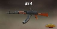 AKM in PUBG Mobile